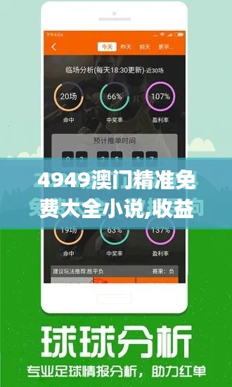 4949澳门精准免费大全小说,收益说明解析_R版10.625