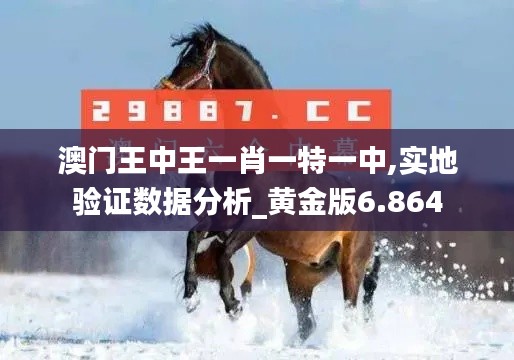 衣无二彩 第4页