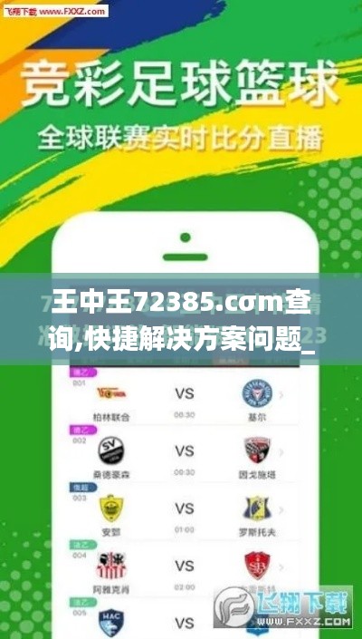 王中王72385.cσm查询,快捷解决方案问题_安卓版8.907