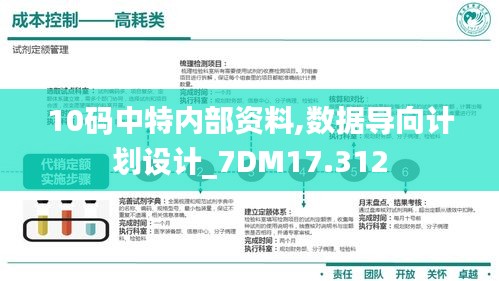 10码中特内部资料,数据导向计划设计_7DM17.312