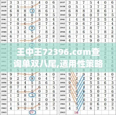 王中王72396.cσm查询单双八尾,适用性策略设计_Galaxy8.944