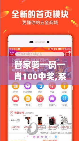管家婆一码一肖100中奖,系统化推进策略探讨_复刻款7.425