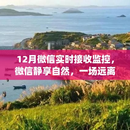 澹泊明志，宁静致远 第3页