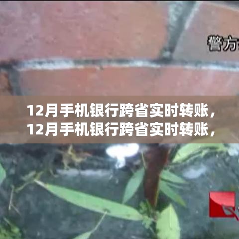 见缝就钻 第3页