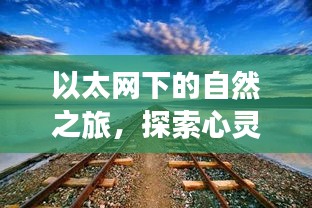 遍地开花 第3页