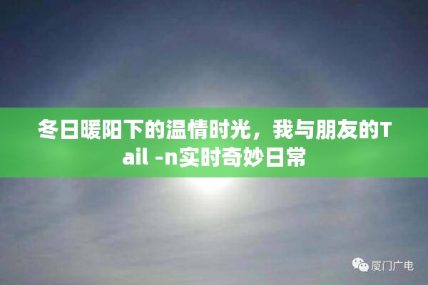 夫贵妻荣 第2页
