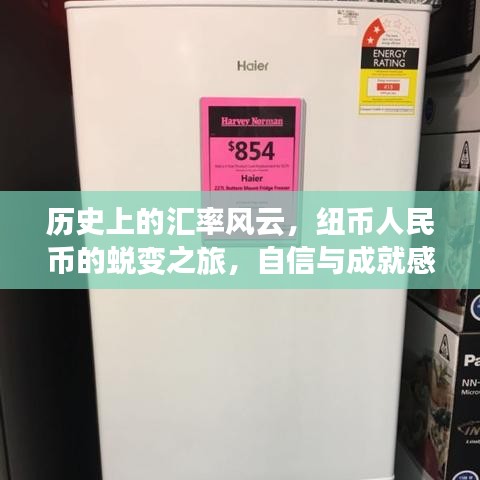 历史上的汇率风云，纽币人民币蜕变之旅与自信成就之源