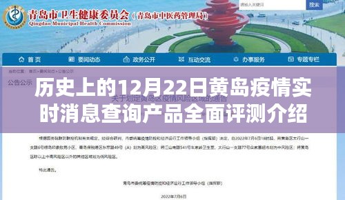 劳燕分飞 第3页