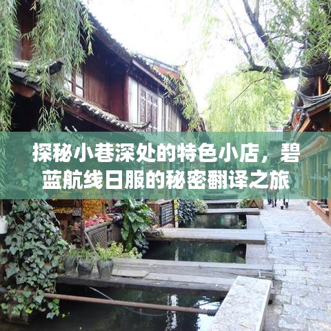 探秘小巷深处的特色小店，碧蓝航线日服的神秘翻译之旅