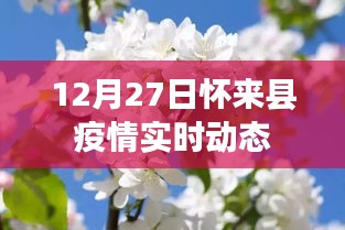 物是人非 第2页