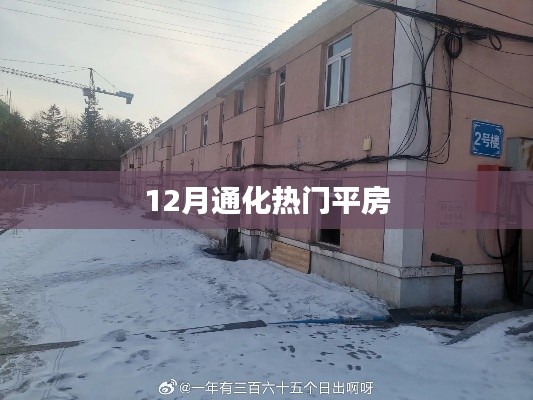 乌鸟之情 第2页
