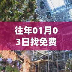 风流倜傥 第2页
