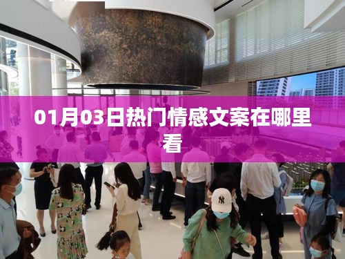 随方就圆 第2页