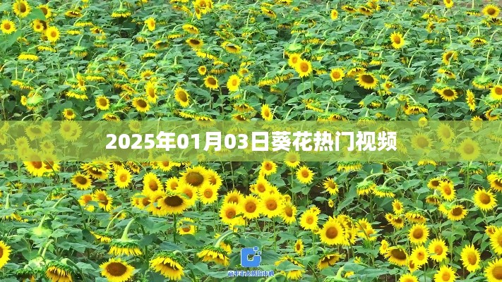 贵农贱商 第2页