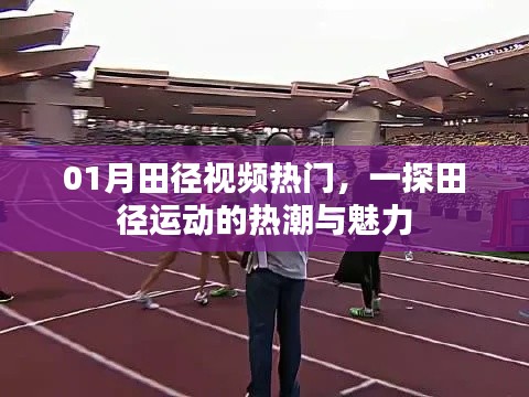 六鹢退飞 第2页