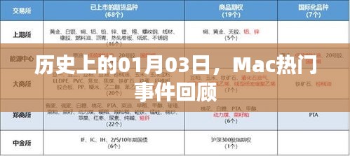 漫天飞舞 第2页