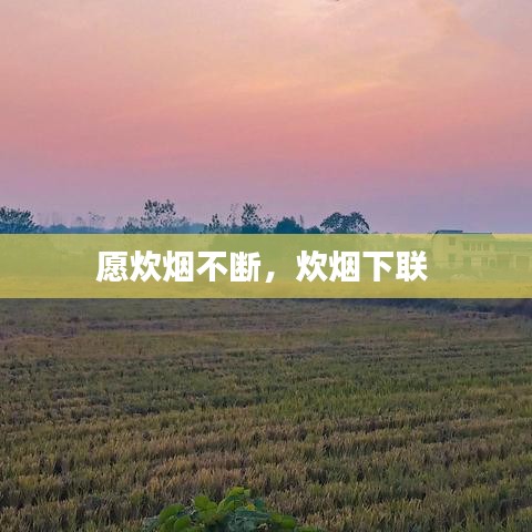 千辛万苦 第2页