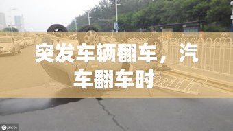罗含梦鸟 第2页