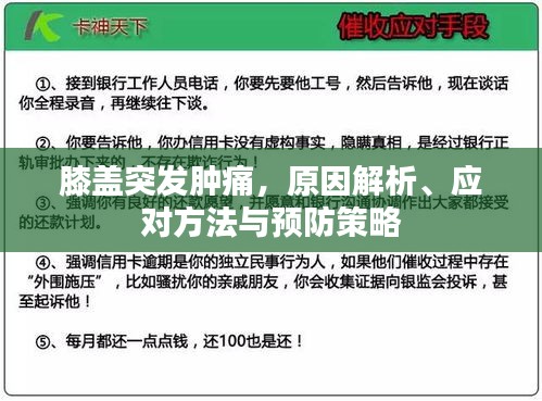 质而不俚
