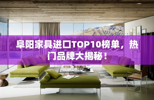 阜阳家具进口TOP10榜单，热门品牌大揭秘！