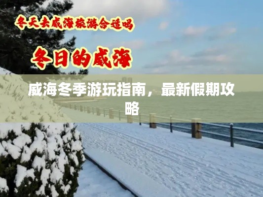 纲挈目张