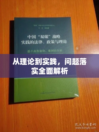 洵属可贵