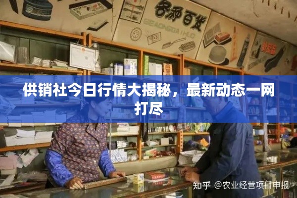 贵极人臣