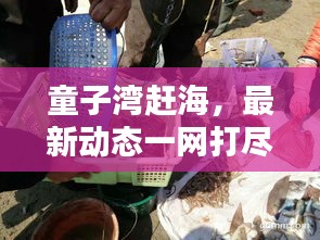 橘虞初梦
