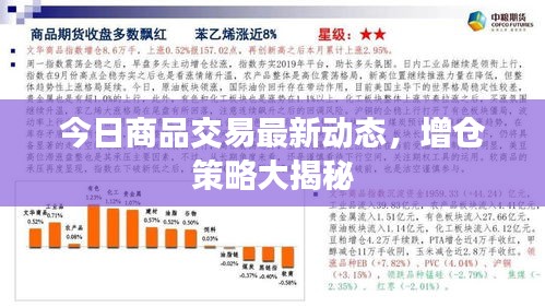 飞鸟惊蛇