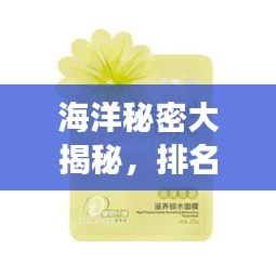 见仁见智