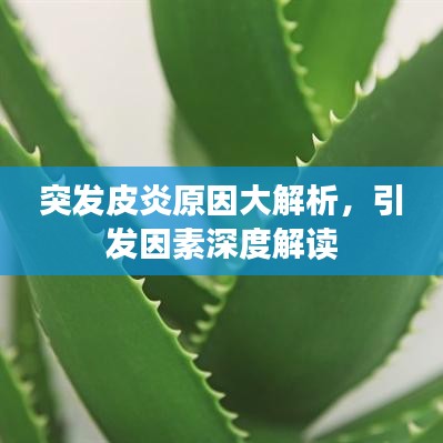 突发皮炎原因大解析，引发因素深度解读