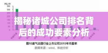 揭秘诸城公司排名背后的成功要素分析