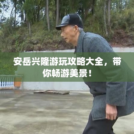 生张熟魏