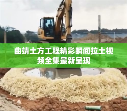 雍容典雅