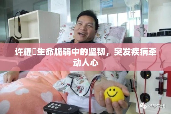 半截鸟木