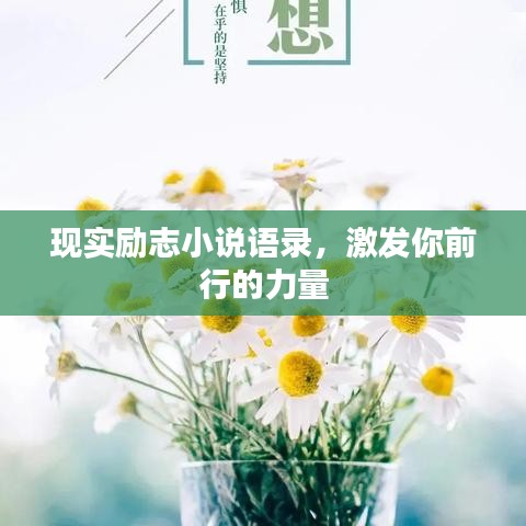 现实励志小说语录，激发你前行的力量