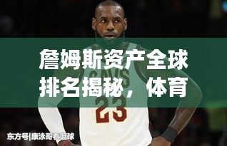 鸟飞兔走