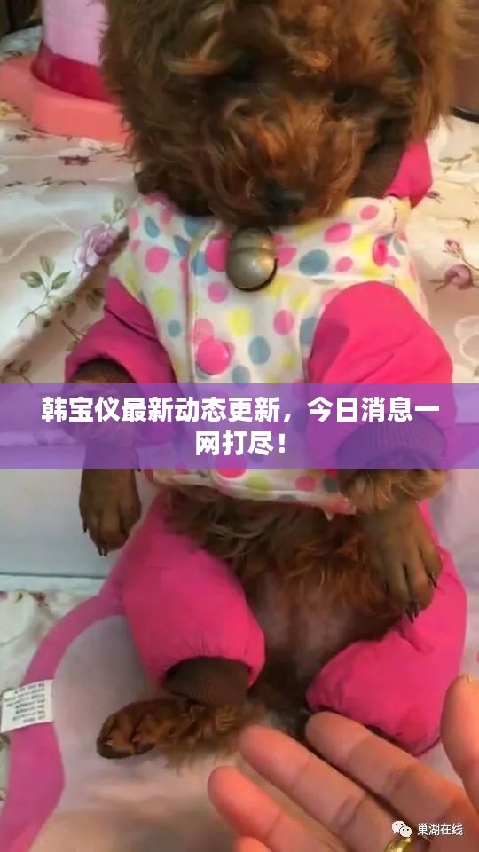 聚精会神