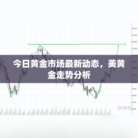 今日黄金市场最新动态，美黄金走势分析