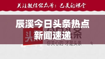 鸟语花香