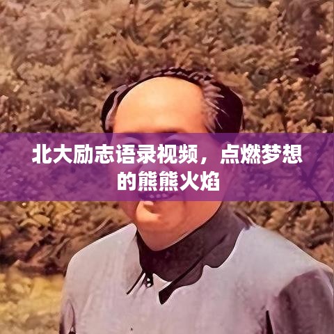 2025年5月4日 第2页