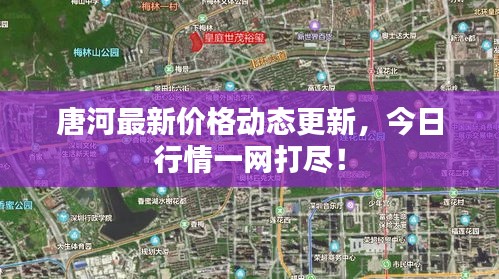 2025年5月25日