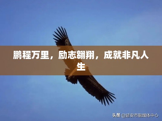 鹏程万里，励志翱翔，成就非凡人生