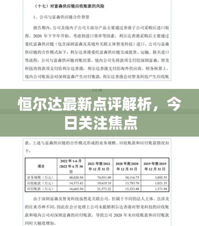 恒尔达最新点评解析，今日关注焦点