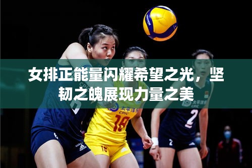 女排正能量闪耀希望之光，坚韧之魄展现力量之美